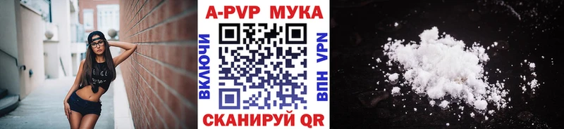 как найти закладки OMG Alpha-PVP СК Межгорье