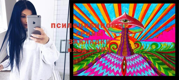 a pvp Алексин