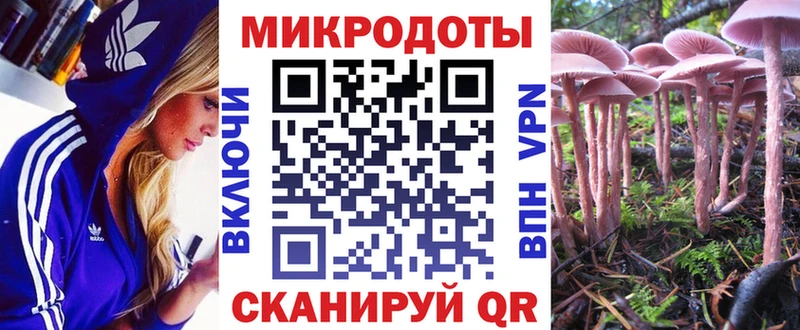 Псилоцибиновые грибы Psilocybe  МЕГА маркетплейс  Межгорье  дарк нет наркотические препараты  продажа наркотиков 